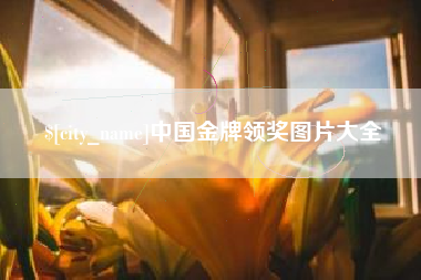 澧县中国金牌领奖图片大全
