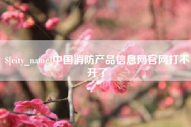 澧县中国消防产品信息网官网打不开了