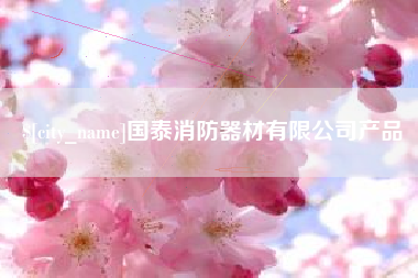 澧县国泰消防器材有限公司产品
