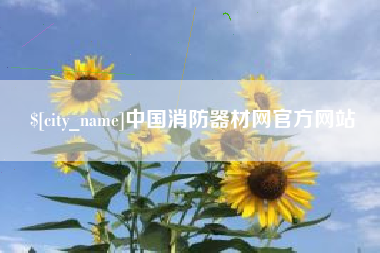 澧县中国消防器材网官方网站
