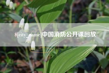 澧县中国消防公开课回放