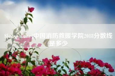 澧县中国消防救援学院2018分数线是多少