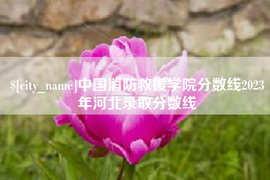 澧县中国消防救援学院分数线2023年河北录取分数线