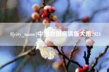 澧县中国地图高清版大图2024