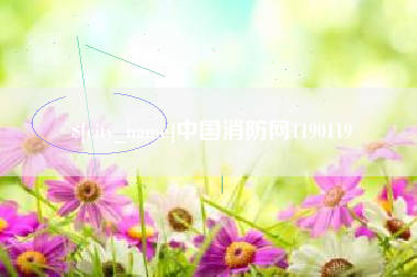 澧县中国消防网1190119