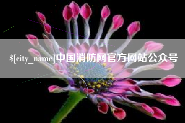 澧县中国消防网官方网站公众号
