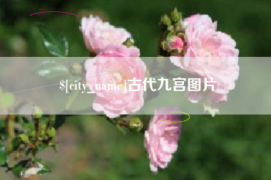 澧县古代九宫图片