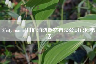 澧县川消消防器材有限公司官网电话