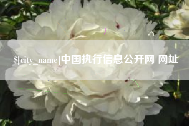 澧县中国执行信息公开网 网址