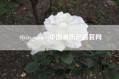 澧县中国消防产品官网