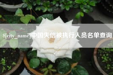 澧县中国失信被执行人员名单查询