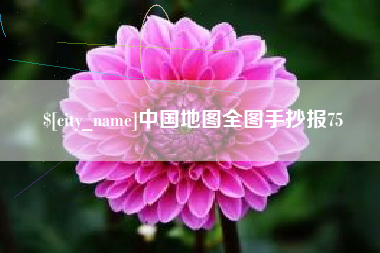 澧县中国地图全图手抄报75