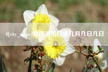 澧县我国消防日是几月几日几日
