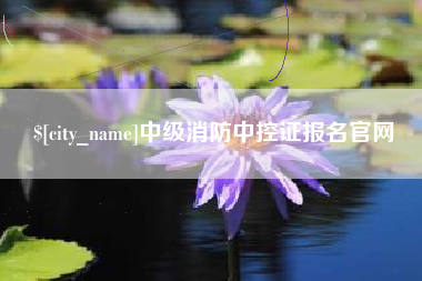 澧县中级消防中控证报名官网