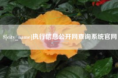 澧县执行信息公开网查询系统官网