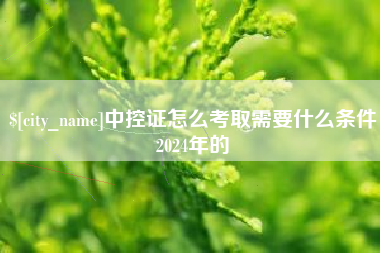 澧县中控证怎么考取需要什么条件2024年的