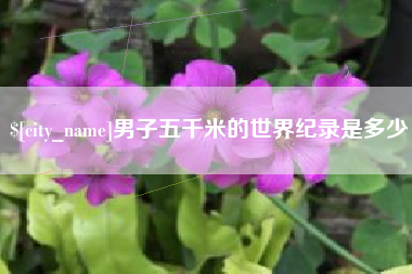 澧县男子五千米的世界纪录是多少