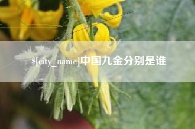 澧县中国九金分别是谁