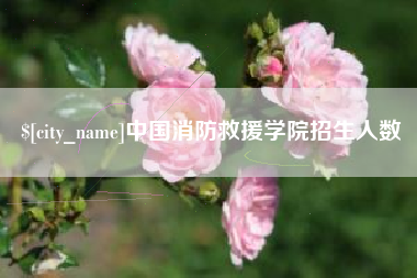澧县中国消防救援学院招生人数