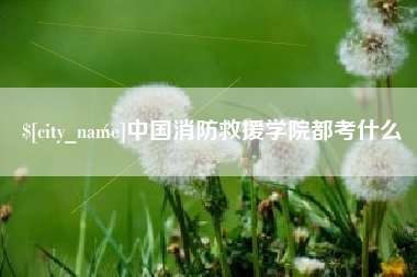 澧县中国消防救援学院都考什么