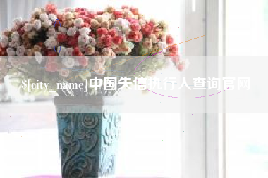 澧县中国失信执行人查询官网