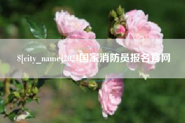 澧县2021国家消防员报名官网