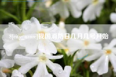 澧县我国消防日几月几号开始