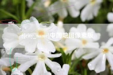 澧县中国地图像素版