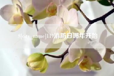澧县119消防日哪年开始