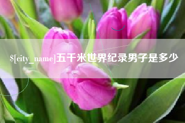 澧县五千米世界纪录男子是多少