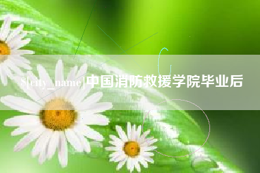 澧县中国消防救援学院毕业后