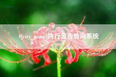 澧县执行公告查询系统