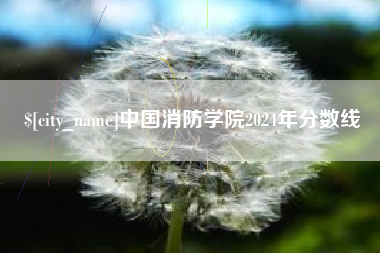 澧县中国消防学院2024年分数线