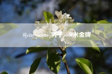 澧县男子5000米金牌