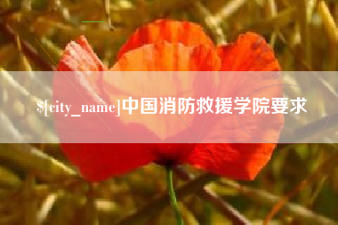 澧县中国消防救援学院要求