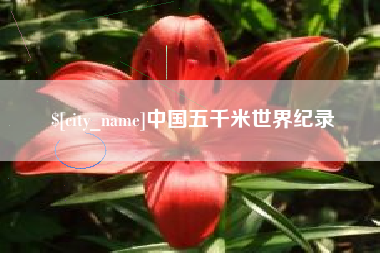 澧县中国五千米世界纪录