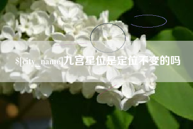 澧县九宫星位是定位不变的吗