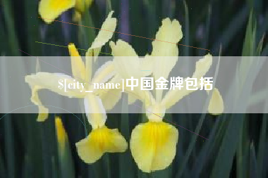 澧县中国金牌包括