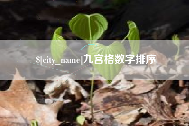 澧县九宫格数字排序