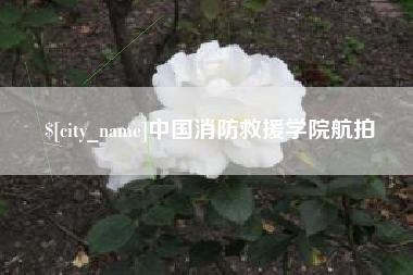 澧县中国消防救援学院航拍