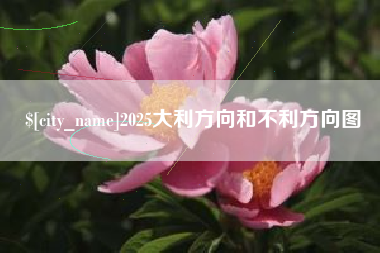 澧县2025大利方向和不利方向图