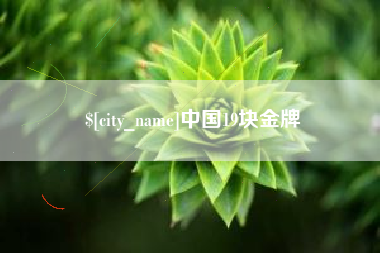 澧县中国19块金牌