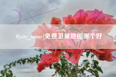 澧县免费卫星地图哪个好