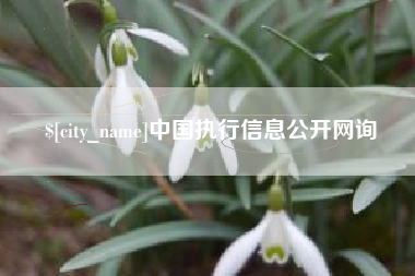 澧县中国执行信息公开网询