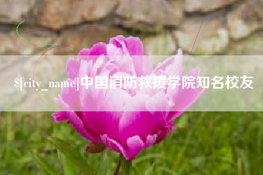 澧县中国消防救援学院知名校友