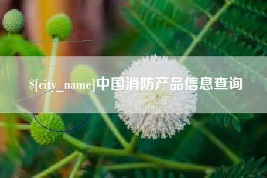 澧县中国消防产品信息查询