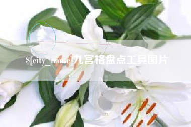 澧县九宫格盘点工具图片