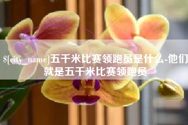 澧县五千米比赛领跑员是什么-他们就是五千米比赛领跑员