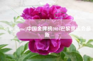 澧县中国金牌榜2024巴黎奥运会最新