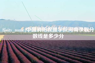 澧县中国消防救援学院河南录取分数线是多少分